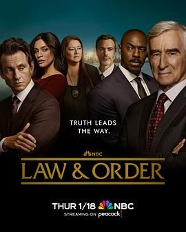法律与秩序 第二十三季第9集