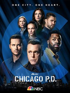 芝加哥警署第九季第21集