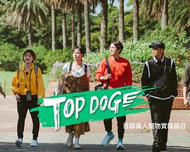 TOP DOG第08集(大结局)