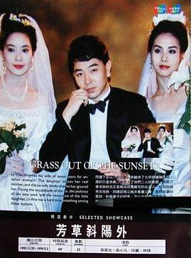 芳草斜阳外(全集)